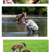 야생 사진사들의 세계