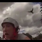 독수리의 습격