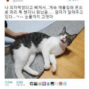 냥서럽.twt