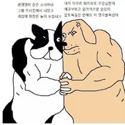 프렌치 불독이 개밥 도둑 찾는 만화.manga