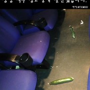 영화관에서 발견된 괴물체