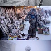 러시아의 흔한 겨울