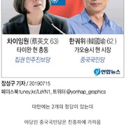 대만 대통령 선거 뒤에 밝혀진 일들