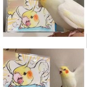 앵무새 초상화