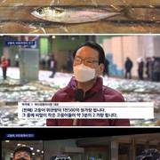 한국에서 잡은 고등어의 가성비
