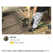 유튜브 광고 레전드 ~