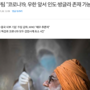 중국 연구팀 "코로나19, 우한 앞서 인도·방글라 존재 가능성"