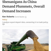 중국 관세 맞고 오히려 흥했던 미국 콩 농사