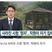 한국의 정자 도둑