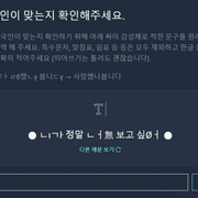 한국인 전용 자동가입 방지 문자
