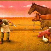 반려동물 vs 동물