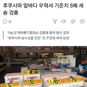 日부흥상 "후쿠시마 수산물 안전...한국, 수입 재개해라"