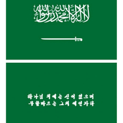 이슬람 국가의 국기