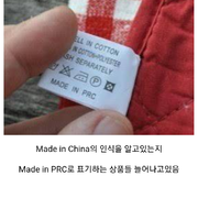 Made in china 근황