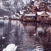 오스트리아의 어느 호수 마을