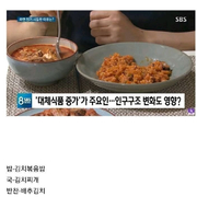 언론에서 보여준 평범하디 평범한 한국인 식단...