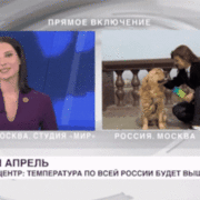 러시아 생방송 중 방송 사고