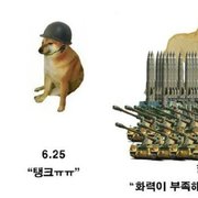 한국군의 화력 근황