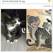 조선시대 고양이 실사화수준