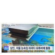 수산시장 상인들이 비양심적인 이유.news