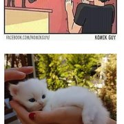 인터넷 고양이와 현실 고양이의 차이