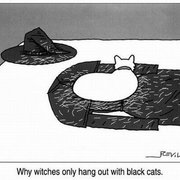 너네 마녀가 왜 검은 고양이를 키우는 줄 알아?