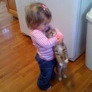 고양이에게 사랑하는 마음을 표현하는 어린이