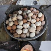 중국의 흔한 삶은 계란
