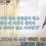 조선시대에 기록된 고양이 특성