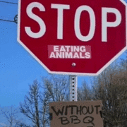 동물을 먹는 짓을 그만두세요