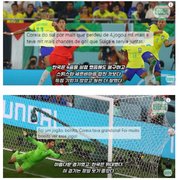 월드컵 한국전 브라질 언론