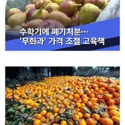 한국 과일 비싼 이유